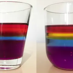 Proste eksperymenty biologiczne w domu: Odkryj świat nauki!