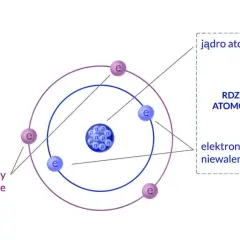 Z czego zbudowany jest atom? Przewodnik po świecie cząstek