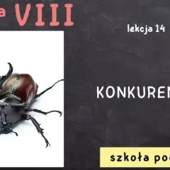 Co to jest konkurencja w biologii? Poznaj jej sekrety!
