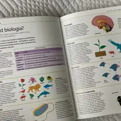 Biologia, chemia, fizyka: Jak je opanować i uczynić prostymi?