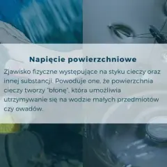 Dlaczego woda jest fundamentem życia? Unikalne właściwości H₂O