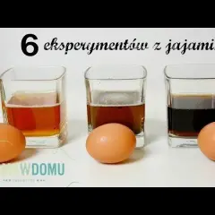 Nauka w kuchni: Proste eksperymenty z jajkiem, które zaskoczą!