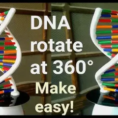 Model DNA na biologię: Zbuduj go sam i zachwyć nauczyciela!