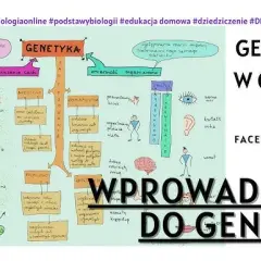 Genetyka: Czym jest i jak DNA kształtuje Twoje życie?