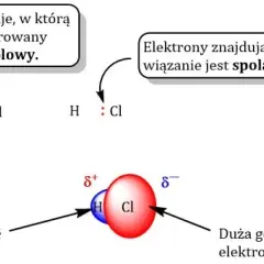 Sekret dipola: Dlaczego niektóre cząsteczki są "magnesami"?