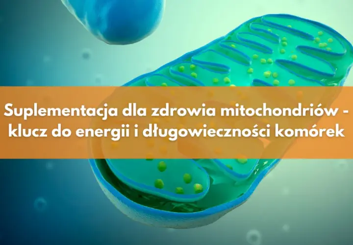 Metabolizm: Klucz do energii i zdrowia. Jak działa Twoje ciało?