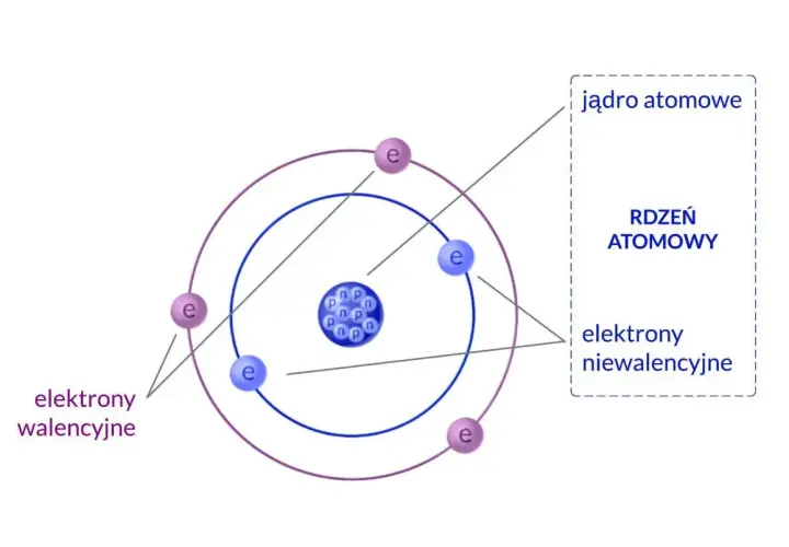 Schematyczny model atomu: jądro atomowe z protonami i neutronami, otoczone przez elektrony walencyjne i niewalencyjne krążące po orbitach.