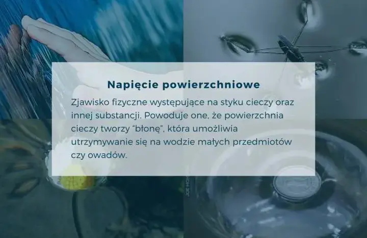 Dlaczego woda jest fundamentem życia? Unikalne właściwości H₂O