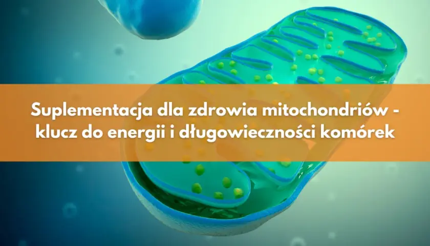 Metabolizm: Klucz do energii i zdrowia. Jak działa Twoje ciało?