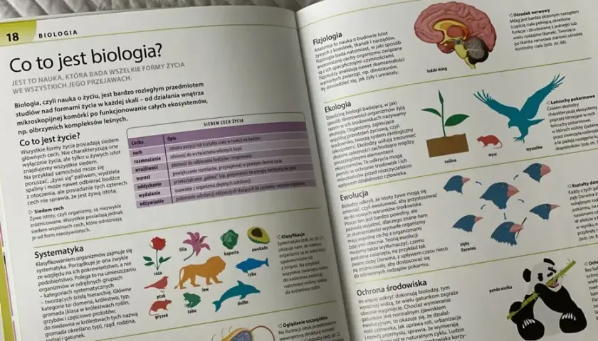 Biologia, chemia, fizyka: Jak je opanować i uczynić prostymi?
