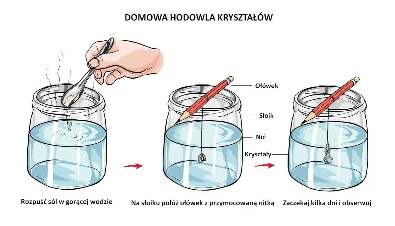 Hodowla kryształ&oacute;w soli krok po kroku