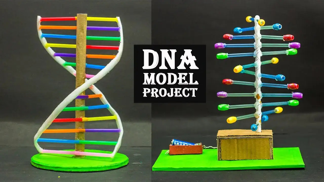 kreatywne modele dna przykłady